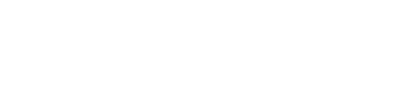Novatize logo