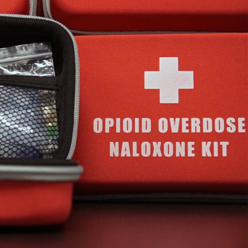 Opioid overdose nalaxone kit